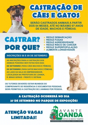CASTRAPET - castração gratuita de cães e gatos. 
