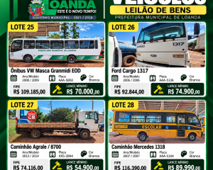 lote-25-ao-28.png